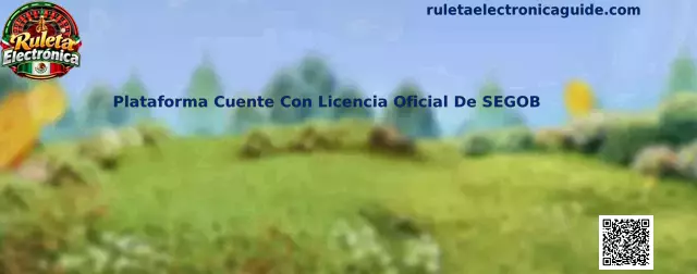 Guía informativa para comprobar permisos de SEGOB y revisar la seguridad de plataformas de ruleta electrónica en México