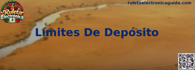 Representación de los límites de depósito y el control del presupuesto en ruleta electrónica