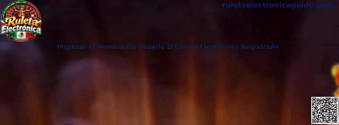 Ingresar El Nombre De Usuario O Correo Electrónico Registrado