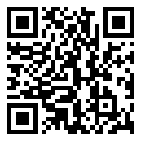 Código QR de ruletaelectronicaguide.com