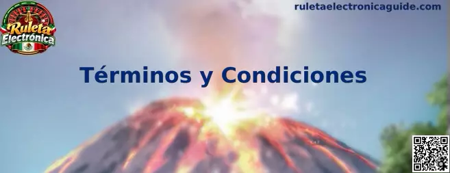 Información sobre los Términos y Condiciones de Ruleta Electrónica